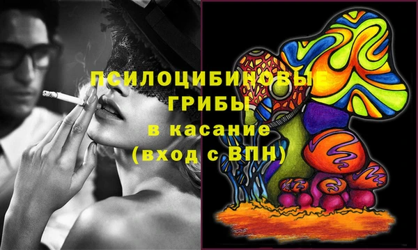 прущая мука Арсеньев
