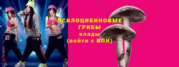 прущая мука Арсеньев