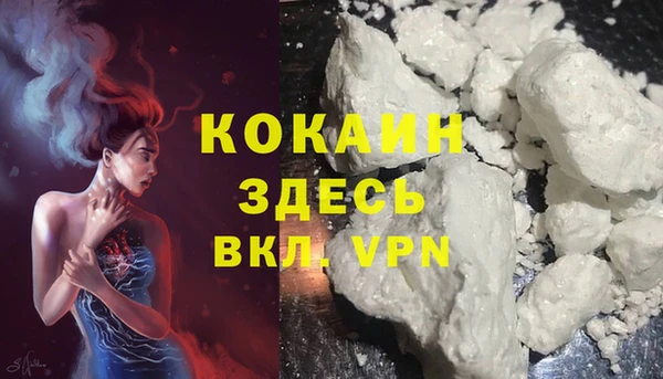 прущая мука Арсеньев