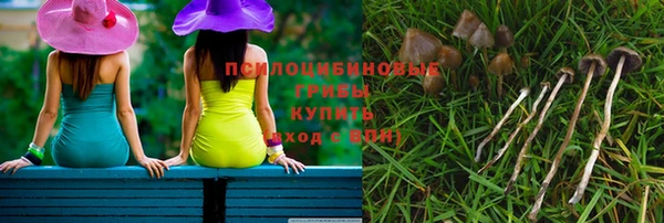 МДПВ Строитель