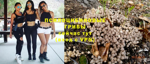 гидропоника Армянск