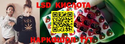 винт Новокубанск