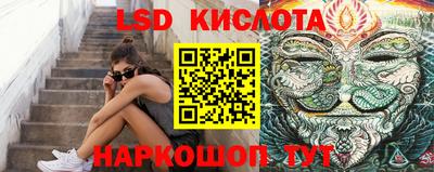 винт Новозыбков