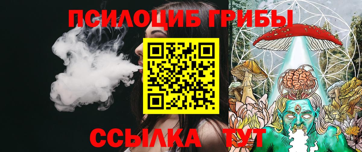 Галлюциногенные грибы Psilocybe  Вход с VPN  купить наркотик  Ярцево 